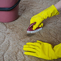 Carpet Spot Cleaning and Care